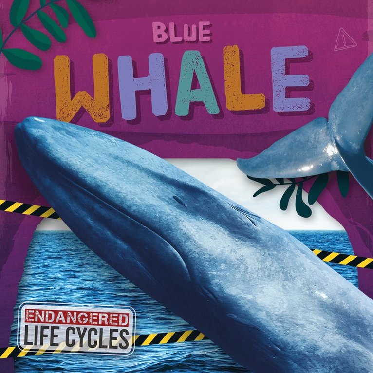 Blue Whale