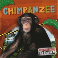 bokomslag Chimpanzee