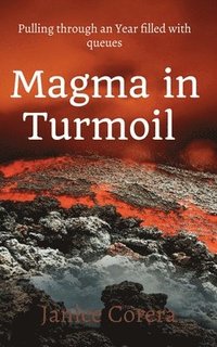 bokomslag Magma in Turmoil