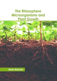 bokomslag The Rhizosphere Microorganisms and Plant Growth