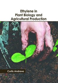 bokomslag Ethylene in Plant Biology and Agricultural Production