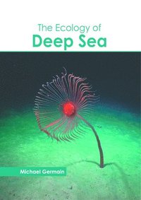 bokomslag The Ecology of Deep Sea