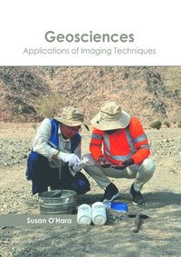 bokomslag Geosciences: Applications of Imaging Techniques