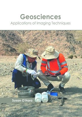bokomslag Geosciences: Applications of Imaging Techniques