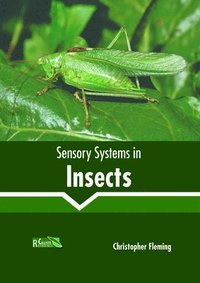 bokomslag Sensory Systems in Insects