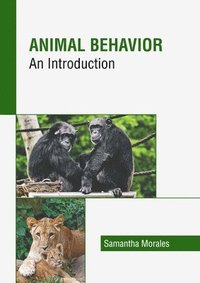 bokomslag Animal Behavior: An Introduction