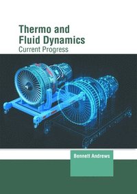 bokomslag Thermo and Fluid Dynamics: Current Progress