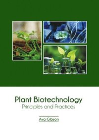 bokomslag Plant Biotechnology: Principles and Practices