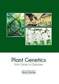bokomslag Plant Genetics: From Genes to Genomes