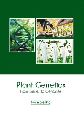 bokomslag Plant Genetics: From Genes to Genomes