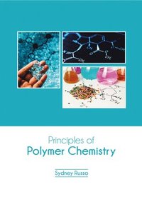 bokomslag Principles of Polymer Chemistry