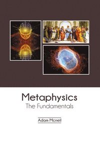 bokomslag Metaphysics: The Fundamentals