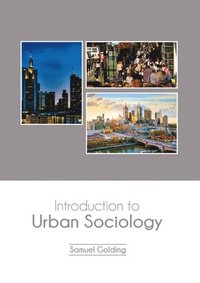 bokomslag Introduction to Urban Sociology