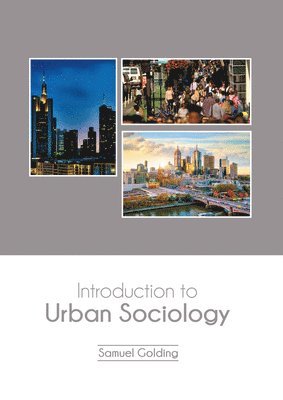 bokomslag Introduction to Urban Sociology