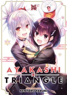 bokomslag Ayakashi Triangle Vol. 16