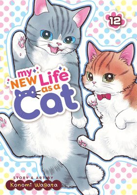 bokomslag My New Life as a Cat Vol. 12