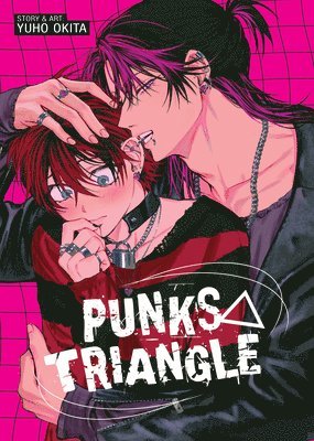 bokomslag PUNKS TRIANGLE