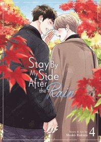 bokomslag Stay by My Side After the Rain Vol. 4