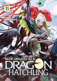 bokomslag Reincarnated as a Dragon Hatchling (Light Novel) Vol. 11