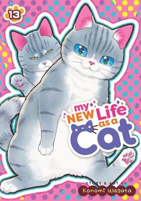 bokomslag My New Life as a Cat Vol. 13