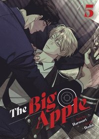 bokomslag The Big Apple Vol. 5