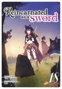 bokomslag Reincarnated as a Sword (Light Novel) Vol. 18