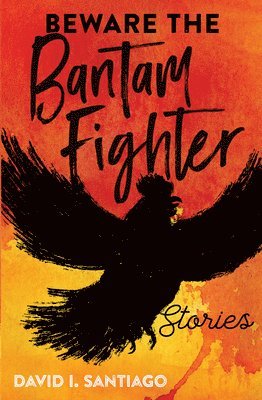 bokomslag Beware the Bantam Fighter: Stories