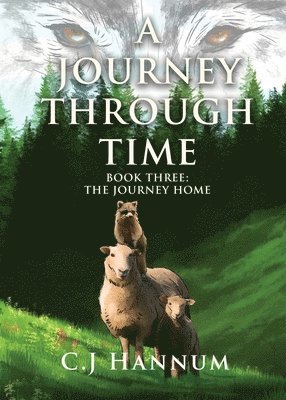 bokomslag A Journey Through Time Book Three