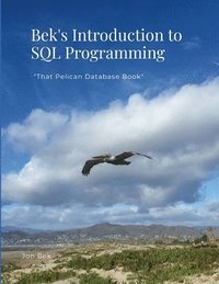 bokomslag Bek's Introduction to SQL Programming