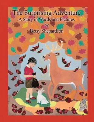 Betsy Shepardson - Surprising Adventure, Häftad