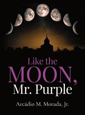 bokomslag Like The Moon, Mr. Purple