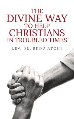 bokomslag Divine Way To Help Christians In Troubled Times