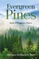 bokomslag Evergreen Pines