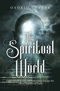 bokomslag The Spiritual World