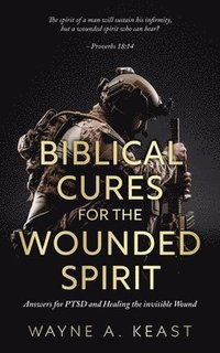 bokomslag Biblical Cures For The Wounded Spirit: Answers for PTSD and Healing the Invisible Wound