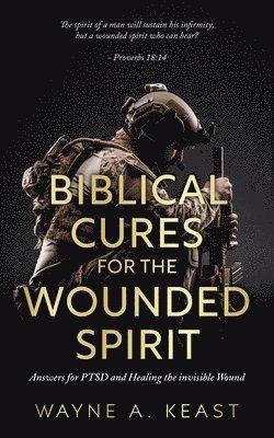 Biblical Cures For The Wounded Spirit: Answers for PTSD and Healing the Invisible Wound 1