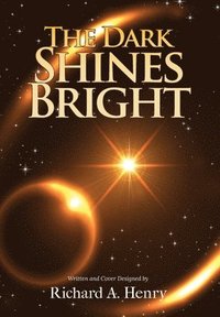 bokomslag Dark Shines Bright