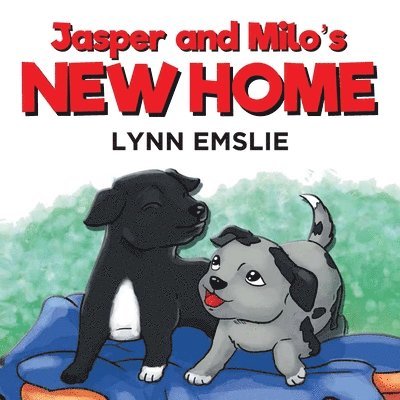 Jasper and Milo's New Home 1