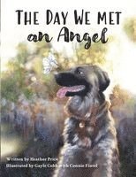 Heather Price - Day We Met an Angel, Häftad