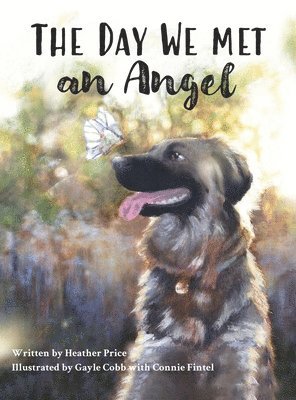 Heather Price - Day We Met an Angel, Inbunden