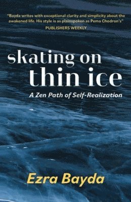 bokomslag Skating on Thin Ice