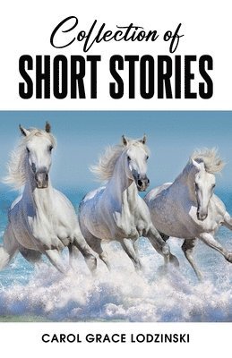 bokomslag Collection of Short Stories