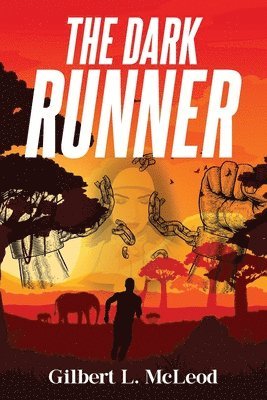bokomslag Dark Runner