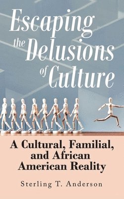 bokomslag Escaping the Delusions of Culture