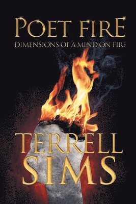 bokomslag Poet Fire: Dimensions of a Mind on Fire
