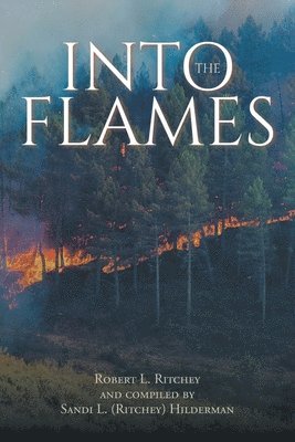 bokomslag Into the Flames