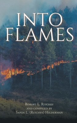 bokomslag Into the Flames