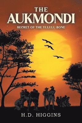 bokomslag Aukmondi