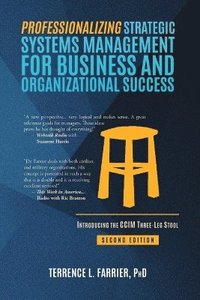 bokomslag Professionalizing Strategic Systems Management for Business and Organizational Success
