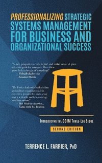 bokomslag Professionalizing Strategic Systems Management for Business and Organizational Success